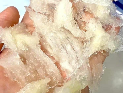 YẾN GIẢ – MỐI ĐE DỌA ĐỐI VỚI THỊ TRƯỜNG YẾN SÀO